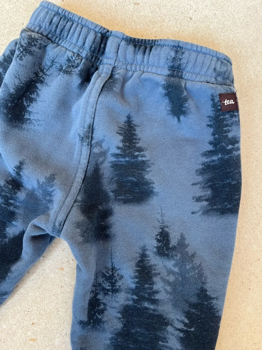 Tea Collection Tree Print Joggers